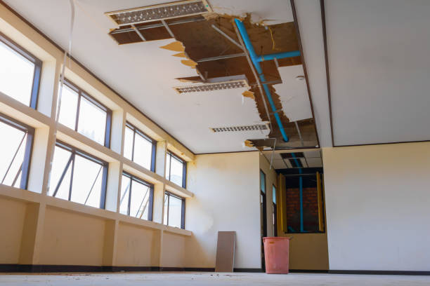 Local water damage restoration in WA