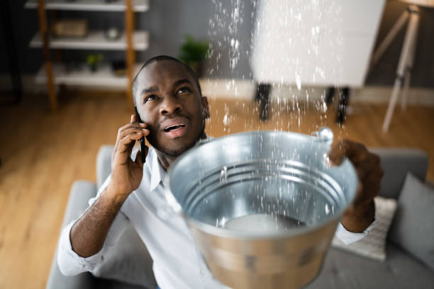 Best Basement water damage restoration  in Picnic Point, WA