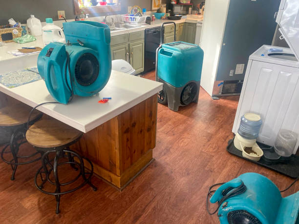 Best Professional water damage repair  in Picnic Point, WA