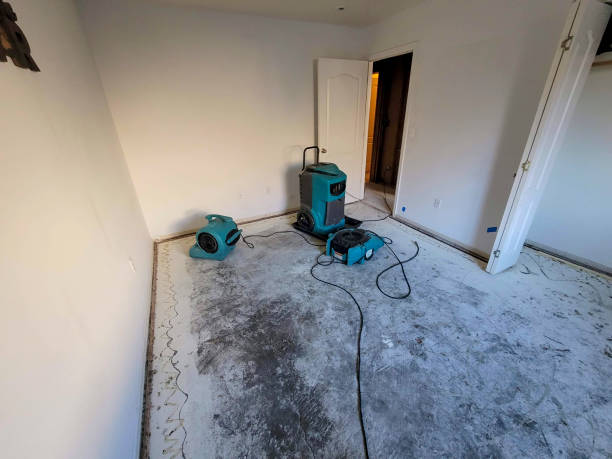 Best Water damage restoration insurance claims  in Picnic Point, WA