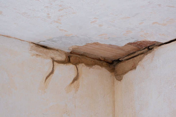 Best Water damage cleanup near me  in Picnic Point, WA