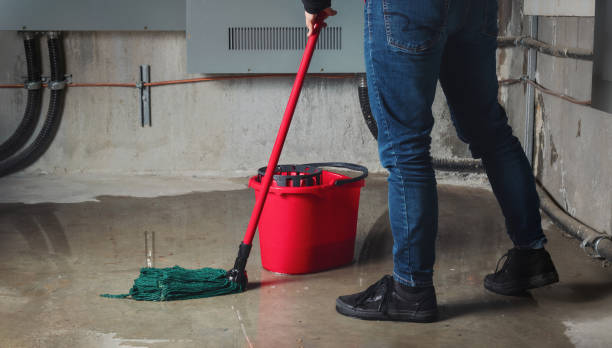 Best Residential water damage restoration  in Picnic Point, WA