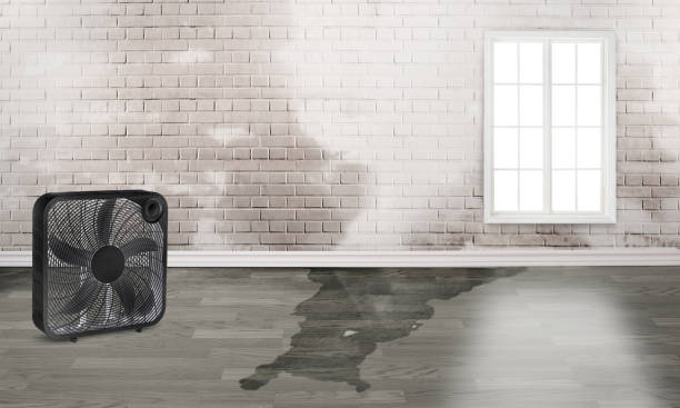 Best Emergency water damage restoration  in Picnic Point, WA