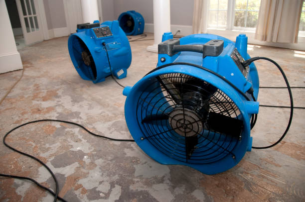 Best Water damage restoration experts  in Picnic Point, WA