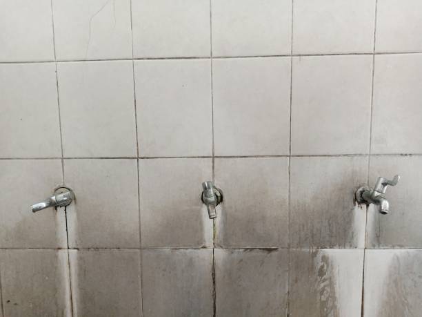 Professional Water damage restoration in WA
