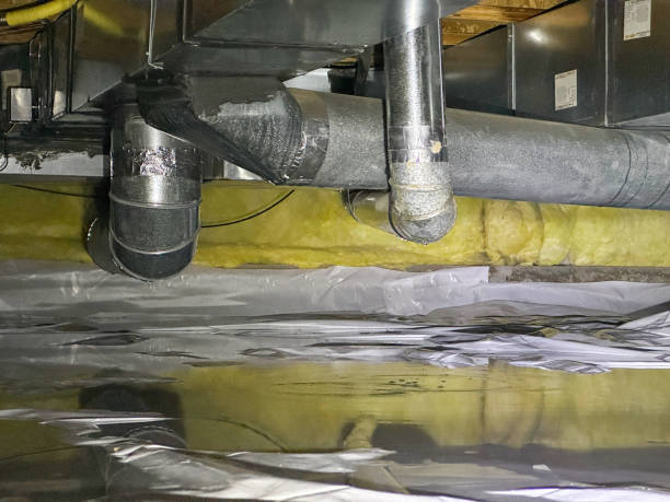 Best Ceiling water damage repair  in Picnic Point, WA
