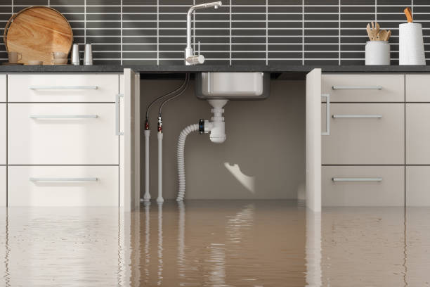 Best Water damage cleanup near me  in Picnic Point, WA