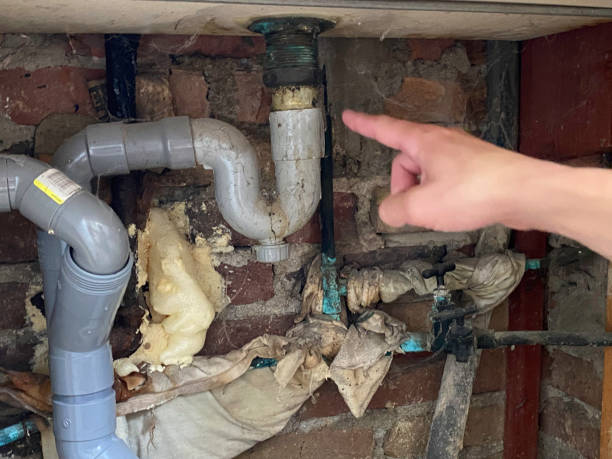 Best Water damage repair service  in Picnic Point, WA