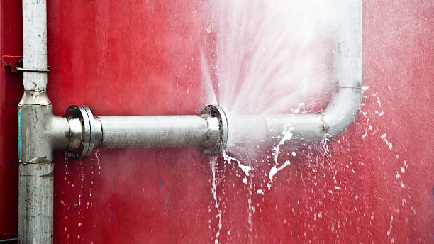 Best Water damage contractors near me  in Picnic Point, WA